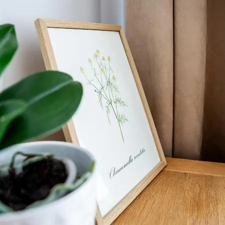 Nava Place Apartament