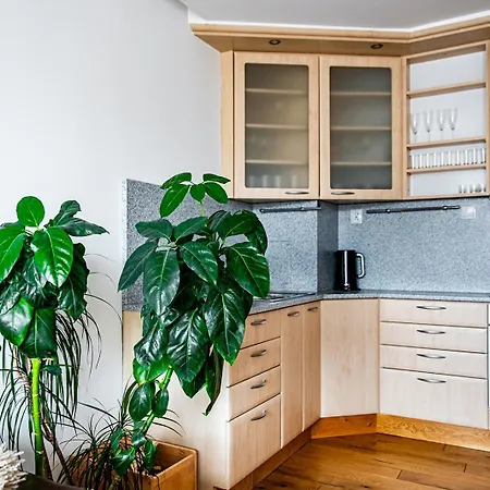 Nava Place Apartment *