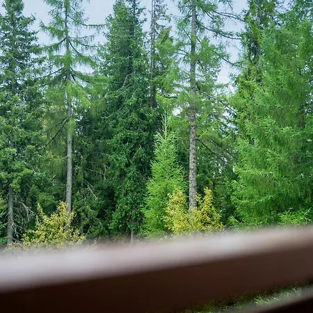 Apartament Nava Place