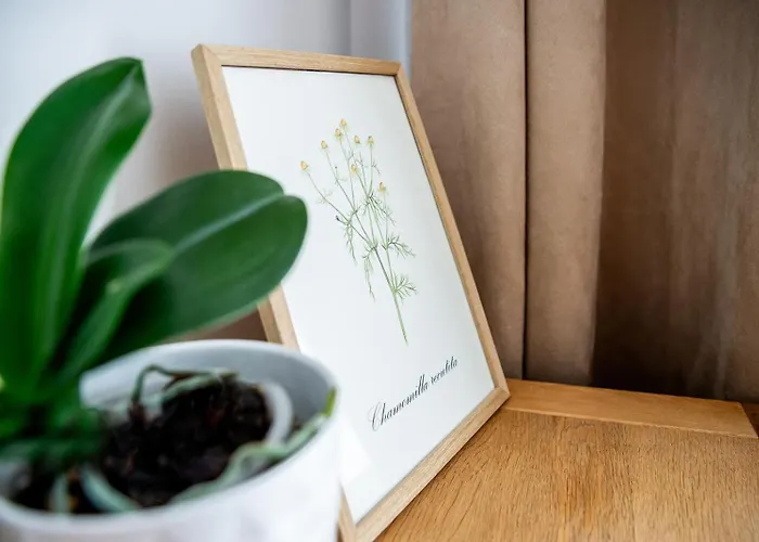 Nava Place Apartmán